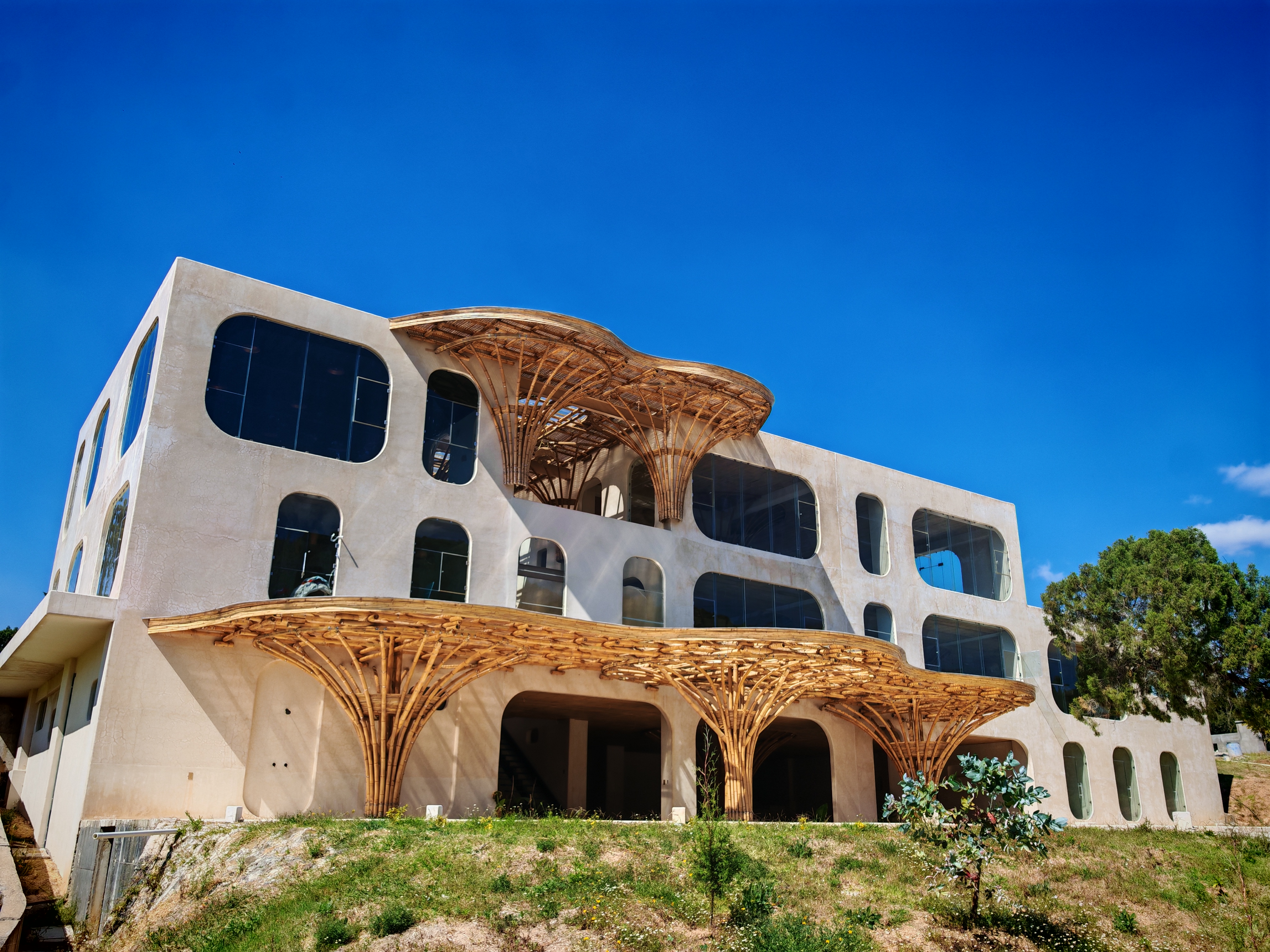 Estructura de bambú ArquiTeka